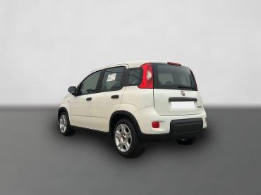 Fahrzeug ansehen: Fiat Panda 1.0 Hybrid *5 Sitzer Klima Komfort* Gebrauchtwagen Fiat Panda 1.0 Hybrid *5 Sitzer Klima Komfort* Gebrauchtwagen
