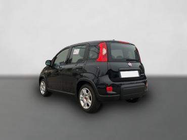 Fahrzeug ansehen: Fiat Panda 1.0 Hybrid *5 Sitzer Klima Komfort* Gebrauchtwagen Fiat Panda 1.0 Hybrid *5 Sitzer Klima Komfort* Gebrauchtwagen