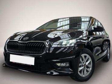 Skoda Fabia Climatronic Sitzheizung Kamera Sicherheit
