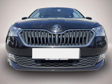 Skoda Fabia Combi 1.0 TSI Active 100¤ m.20% Anz. SHZ P