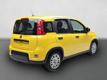 Fahrzeug ansehen: Fiat Panda 1.0 GSE HYBRID CITY PAKET, DAB   Jahreswagen Fiat Panda 1.0 GSE HYBRID CITY PAKET, DAB   Jahreswagen
