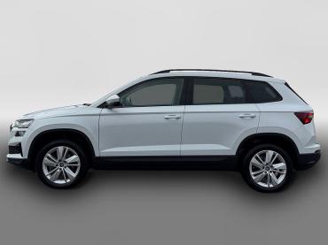 Skoda Karoq Selection TDI DSG|TOTWINKEL|NAV|KAMERA|ACC
