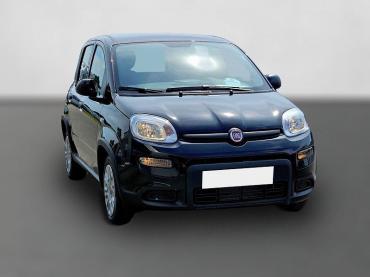Fahrzeug ansehen: Fiat Panda Hybrid 1.0 GSE 51kw MY24 PDC Radio DAB sof Gebrauchtwagen Fiat Panda Hybrid 1.0 GSE 51kw MY24 PDC Radio DAB sof Gebrauchtwagen