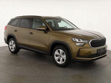 Skoda Kodiaq TDI DSG 4x4 Selection, AHK, Navi, Side, el. Klappe Tageszulassung