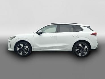 Cupra Terramar 2.0 TSI DSG 4Dr. VZ 5.-J.-GAR PANO AHK HuD ALU 20 Gebrauchtwagen