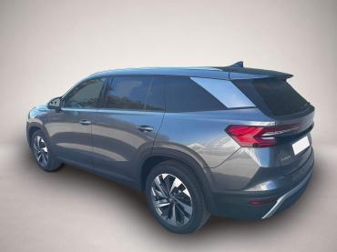 Skoda Kodiaq 2.0 TDI DSG 4x4 Selection ABT 7 Sitzer 19