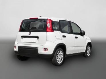 Fiat Panda Mild Hybrid City Paket  Gelato Weiß Tageszulassung