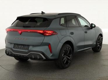 Cupra Terramar 2.0 TSI DSG 4Drive Americas CUP, AHK, Pano, HD-Matrix, Leder, Sennheiser, 5-J Garantie Tageszulassung