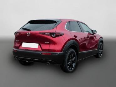 Mazda CX-30 Homura 2WD 2.5 e-SKYACTIV-G 140 M Hybrid EU6e Tageszulassung