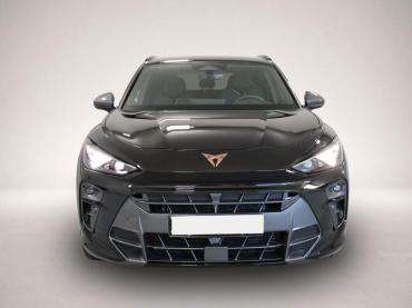 Cupra Terramar 2.0 TSI 7-Gang DSG 4x4