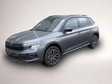 Fahrzeug ansehen: Skoda Kamiq Skoda Kamiq