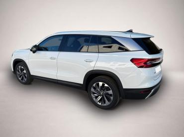 Skoda Kodiaq 2.0 TDI DSG 4x4 Selection 7 Sitzer 19 Zol