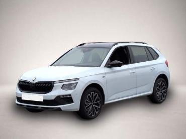 Skoda Kamiq TOUR 1.5TSI * DSG Matrix-LED ACC Panodach
