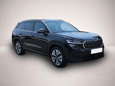 Skoda Kodiaq 2.0 TDI 4x4 DSG Selection AHK NAV RFK LED