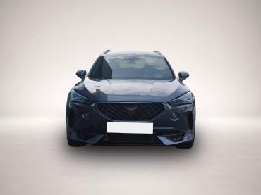 Cupra Formentor 2.0 TSI DSG VZ MATRIX-LED * NAVI * AHK * EH