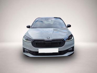 Fahrzeug ansehen: Skoda Fabia 1.5 TSI DSG Monte Carlo NAV RFK ACC PDC SH Skoda Fabia 1.5 TSI DSG Monte Carlo NAV RFK ACC PDC SH