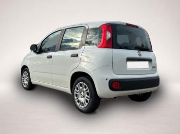 Fahrzeug ansehen: Fiat Panda Pandina 1.0 Icon * 5 Sitzer Klimaanlage Fiat Panda Pandina 1.0 Icon * 5 Sitzer Klimaanlage