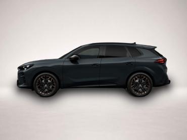 Cupra Terramar 2.0 TSI 7-Gang-DSG 4Drive