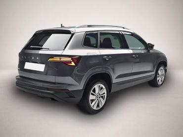 Skoda Karoq 2.0 TDI DSG Selection LED AHK Kamera