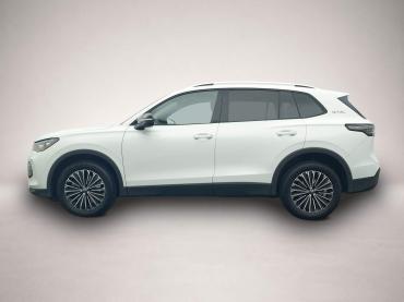 Volkswagen Tiguan 2.0 TSI DSG 4Mo. Goal AHK HK-SOUND 360-KA