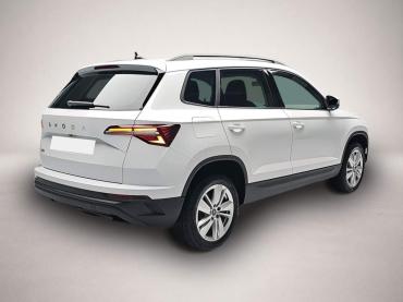 Skoda Karoq 1.5 TSI DSG 130 Jahre LED Kamera AHK