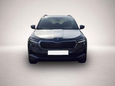 Skoda Karoq 2.0 TDI 4x4 DSG Selection AHK RFK NAV PDC