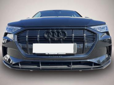 Audi e-tron 50 advanced 152¤ m.20% Anz. 20 LEDER Head