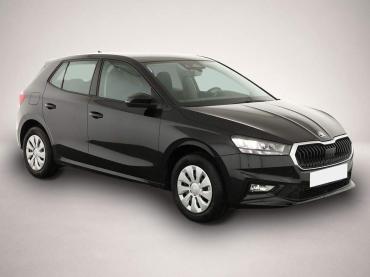Skoda Fabia 1.0 TSI Selection * Tempomat * Park * SmartLink * 4 J.-Garantie